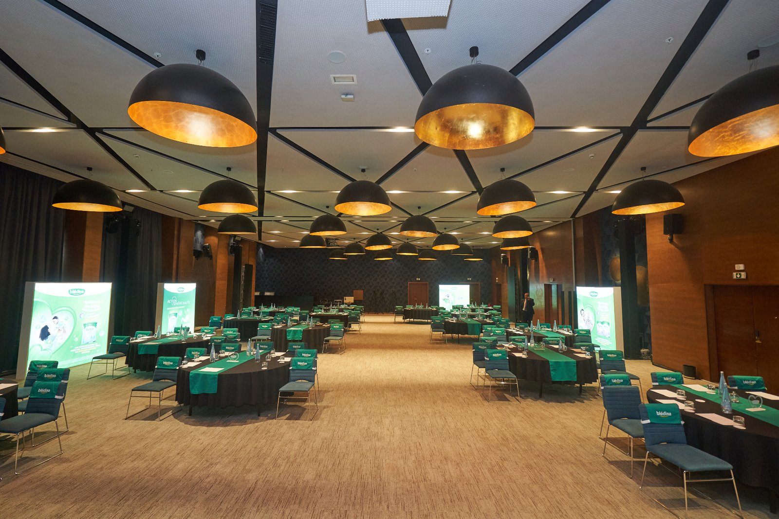 Convention Blédina — salle plénière